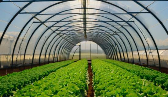 智慧农业温室大棚设备 助力农业精细化高质量化发展